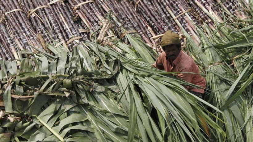 Energie: une nouvelle alliance pour les biocarburants voit le jour, sous la houlette de l'Inde Energie: une nouvelle alliance pour les biocarburants voit le jour, sous la houlette de l'Inde