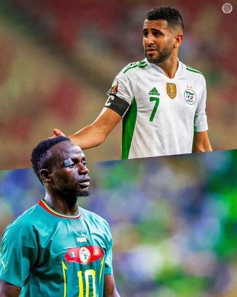 Amical Sénégal vs Algérie : un duel de champions d’Afrique qui s’annonce palpitant Amical Sénégal vs Algérie : un duel de champions d’Afrique qui s’annonce palpitant