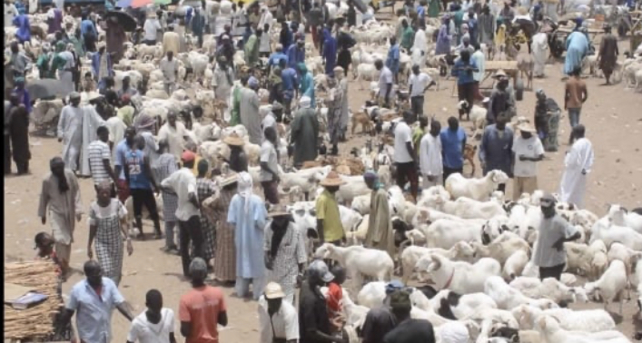 Foirail de Dahra : un éleveur et un rabatteur perdent la vie