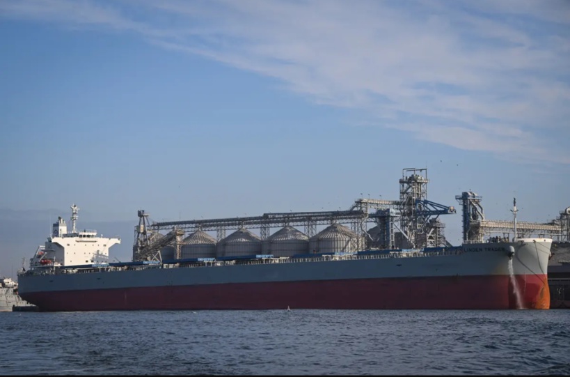 Embargo sur les céréales: Kiev porte plainte à l'OMC contre la Pologne, la Slovaquie et la Hongrie Embargo sur les céréales: Kiev porte plainte à l'OMC contre la Pologne, la Slovaquie et la Hongrie