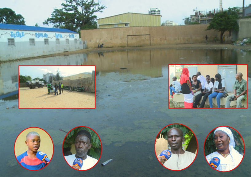 Ecole Manguier Dakar: la rentrée bloquée par les eaux de pluies et les herbes. REPORTAGE ! Ecole Manguier Dakar: la rentrée bloquée par les eaux de pluies et les herbes. REPORTAGE !