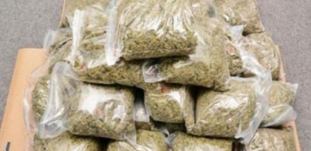 Trafic de drogue: un caïd nigérian, libéré sous grâce présidentielle, retombe dans les filets de la justice sénégalaise