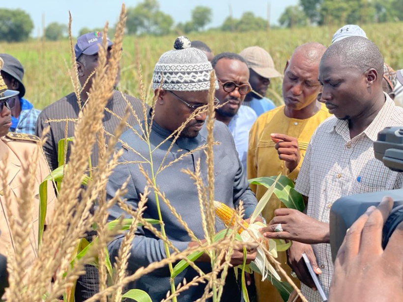 Le ministre de l’Agriculture, Samba Ndiobène Ka à l’assaut du bassin arachidier Le ministre de l’Agriculture, Samba Ndiobène Ka à l’assaut du bassin arachidier