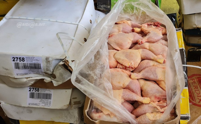 L'aviculture sénégalaise menacée par les importations frauduleuses de poulets congelés L'aviculture sénégalaise menacée par les importations frauduleuses de poulets congelés