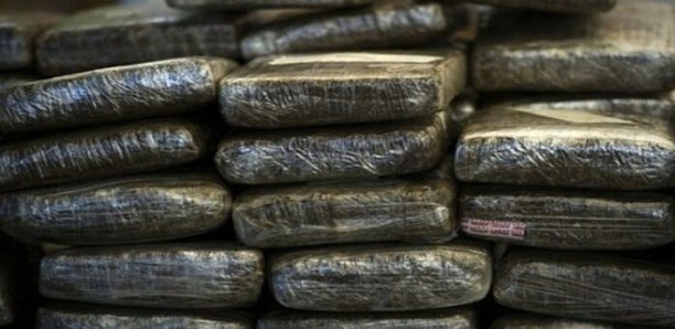 Matam : la gendarmerie appréhende un dealer qui tombe avec 41,5 kg de drogue