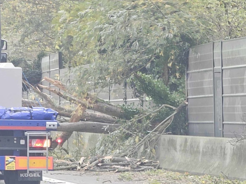 Tempête Ciaran en France : bilan réévalué à un mort et 16 blessés, de nombreux dégâts matériels Tempête Ciaran en France : bilan réévalué à un mort et 16 blessés, de nombreux dégâts matériels