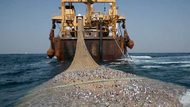 Sénégal: Les États-Unis décident de lutter contre la pêche illégale