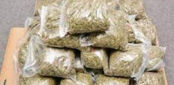 Trafic de drogue à Grand Médine: deux individus arrêtés suite à une dénonciation 