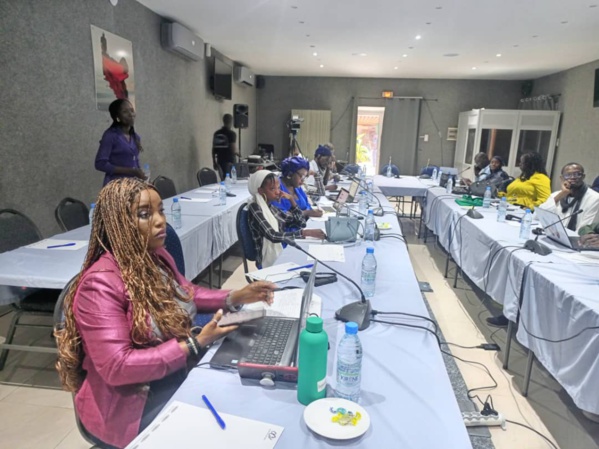 Présidentielles de 2024: une organisation nigériane sonne l’alerte pour la défense de l'espace civique au Sénégal