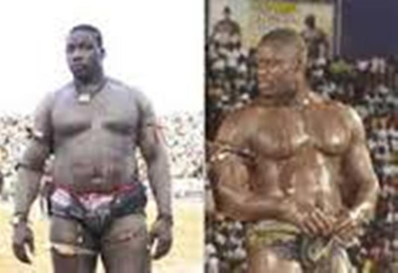 "Tyson va battre Gris Bordeaux", Baye Mandione "Tyson va battre Gris Bordeaux", Baye Mandione