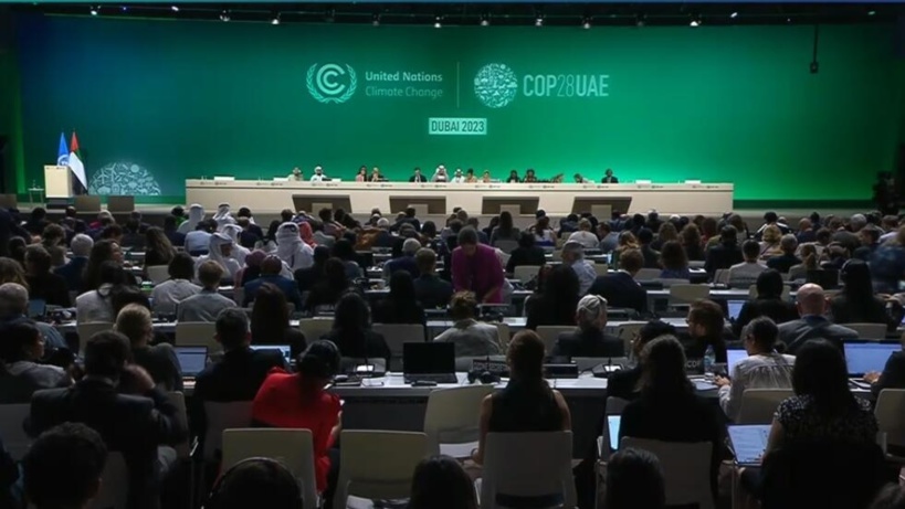 COP28: des réactions tempérées après l'adoption du Bilan mondial à Dubaï COP28: des réactions tempérées après l'adoption du Bilan mondial à Dubaï