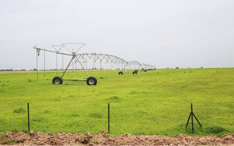 Sédhiou : 600 jeunes formés aux techniques d’agriculture