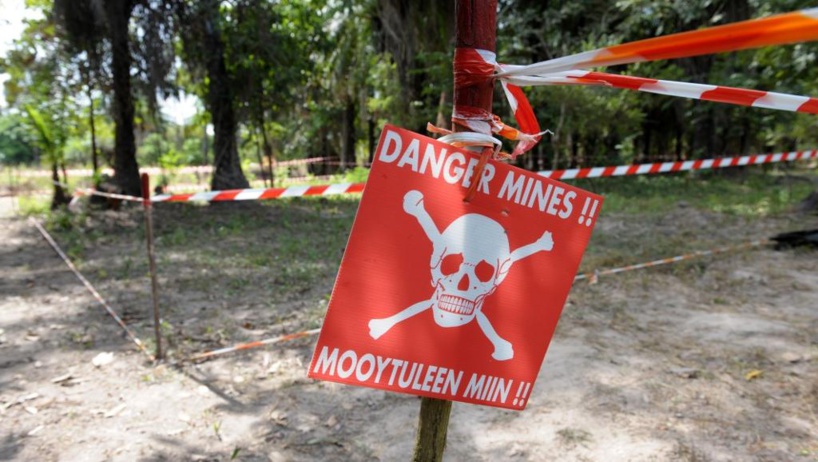 Explosion de mine en Casamance : le maire de Djibidione craint des répercussions et appel l'Etat à accélérer le déminage dans cette zone Explosion de mine en Casamance : le maire de Djibidione craint des répercussions et appel l'Etat à accélérer le déminage dans cette zone