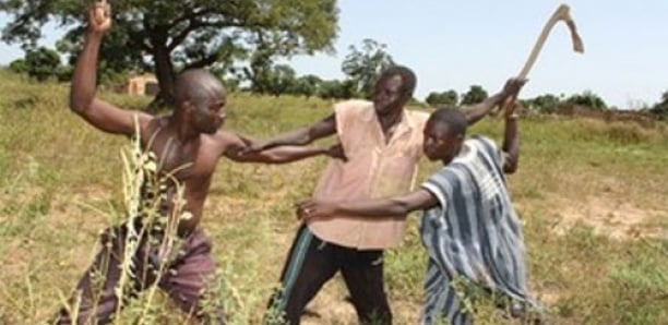 Violente bagarre entre berger et agriculteurs à Tambacounda : quatre (4) blessés, dont un jeune agriculteur amputé 