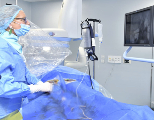 Santé: le premier traitement d'anévrisme cérébral au Sénégal réussit à l'Hôpital de Touba