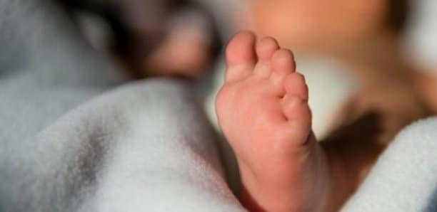 Coup de gueule ! La chronique de KACCOR sur le scandale des bébés affamés