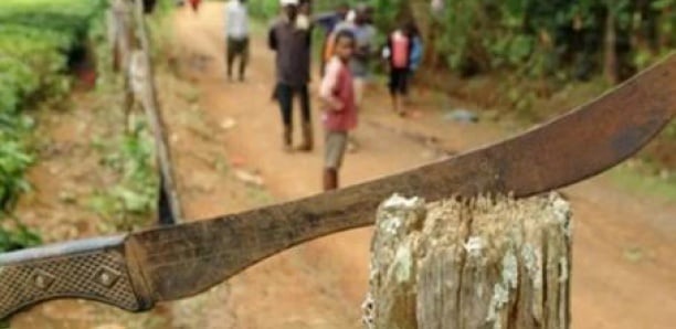 Dahra Djolof: pour une affaire de vol, il tranche le cou de son cousin avec une machette