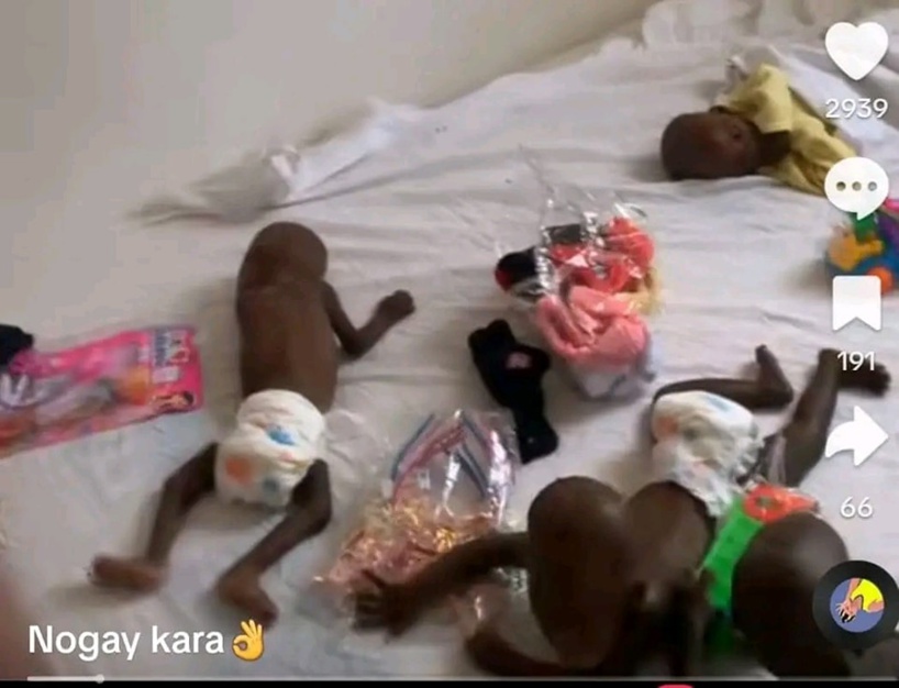 Affaire de la pouponnière de Ndella Madior: la Directrice de "Académie des bébés" pointe du doigt l'absence d'un cadre juridique Affaire de la pouponnière de Ndella Madior: la Directrice de "Académie des bébés" pointe du doigt l'absence d'un cadre juridique