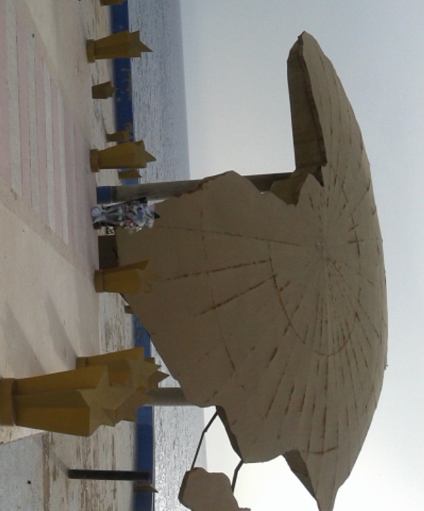 Emigration clandestine: le silence et l’immobiliste des organisations Africaines indexés