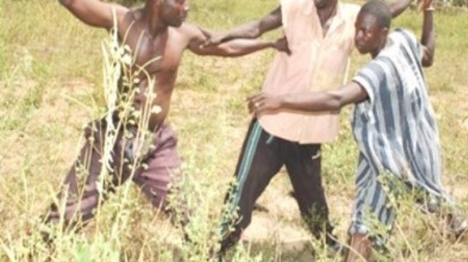 Joal: un berger et un agriculteur en garde à vue pour coups et blessures réciproques 