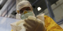 Ebola : le retard et les défaillances de l'OMS critiqués par des experts de l'ONU Ebola : le retard et les défaillances de l'OMS critiqués par des experts de l'ONU