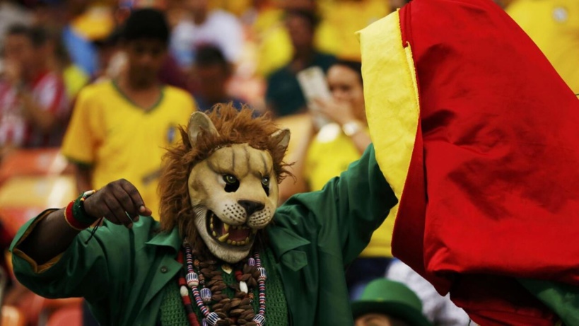 Éléphants, lions, guépards... D'où viennent les animaux de la CAN? Éléphants, lions, guépards... D'où viennent les animaux de la CAN?