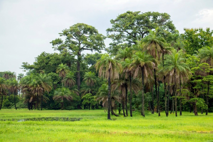 Tournée économique en Casamance : Amadou Ba, attendu à Kolda, Sédhiou, Vélingara et Médina Yoro Foula Tournée économique en Casamance : Amadou Ba, attendu à Kolda, Sédhiou, Vélingara et Médina Yoro Foula