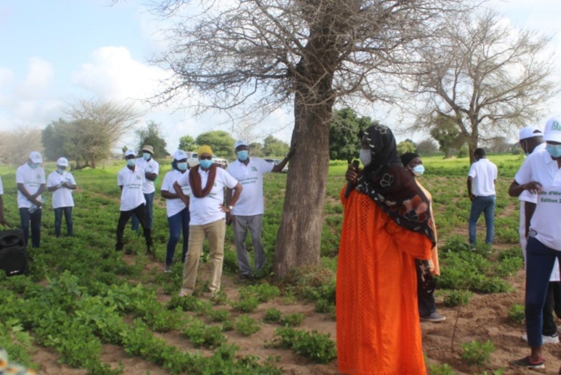 Autosuffisance alimentaire : des spécialistes encouragent la culture des légumineuses Autosuffisance alimentaire : des spécialistes encouragent la culture des légumineuses