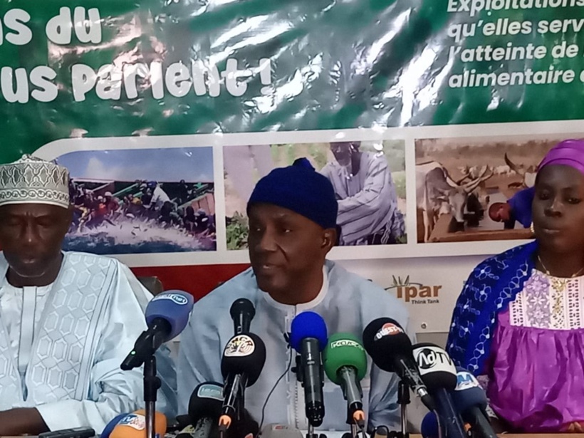 Agriculture: le CNCR interpelle l'État pour l'effectivité des réformes souhaitées Agriculture: le CNCR interpelle l'État pour l'effectivité des réformes souhaitées