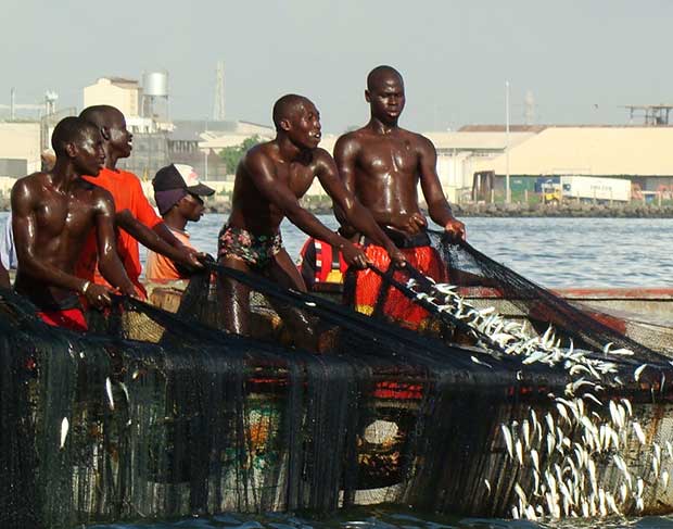 Pêche artisanale : les acteurs appelés à la préservation de la ressource halieutique