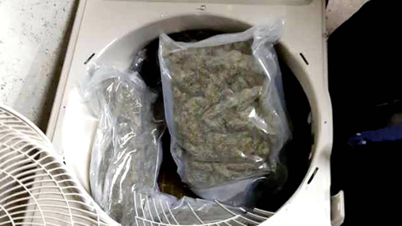 Démantèlement d'un Gang à Kolda : la police saisie 2kg de drogue et arrête trois (3) personnes dont artiste chanteur Démantèlement d'un Gang à Kolda : la police saisie 2kg de drogue et arrête trois (3) personnes dont artiste chanteur