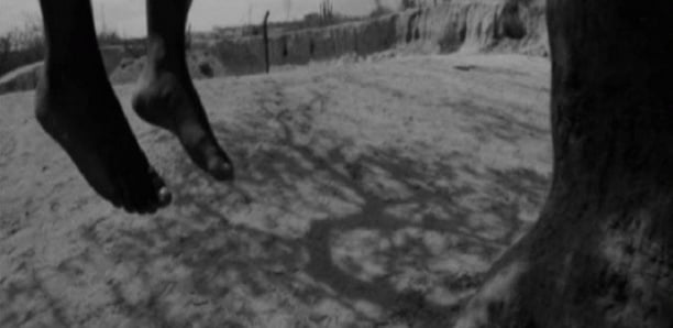 Linguère : Un jeune homme de 25 ans retrouvé mort pendu à un arbre