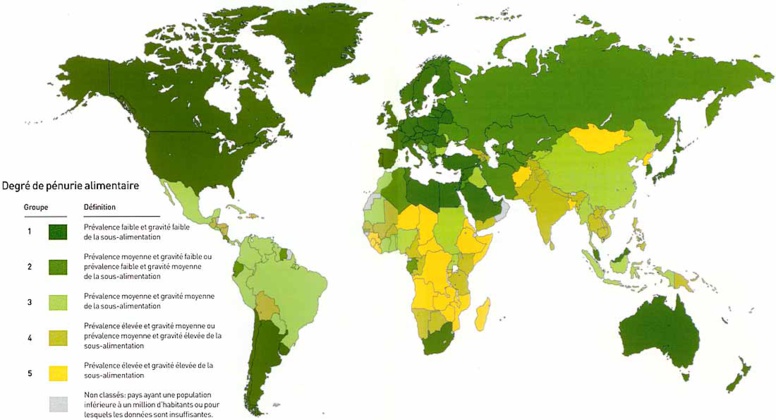 Rapport sur la sécurité alimentaire : 800 millions de personnes souffrent de faim dans le monde Rapport sur la sécurité alimentaire : 800 millions de personnes souffrent de faim dans le monde