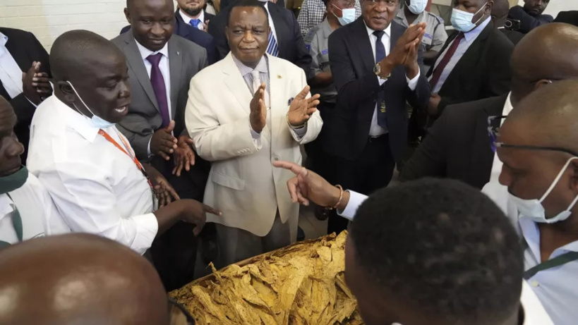 Le Zimbabwe bloque une bourse d'études pour les LGBTQ+ Le Zimbabwe bloque une bourse d'études pour les LGBTQ+