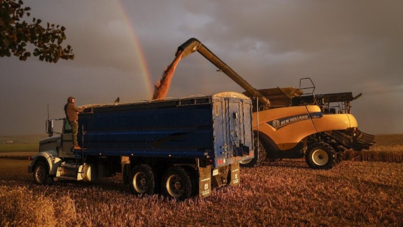 Agriculture: le grand écart mondial des aides publiques entre pays riches et pays pauvres Agriculture: le grand écart mondial des aides publiques entre pays riches et pays pauvres