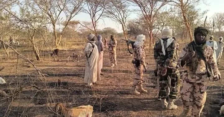 Tchad : 42 morts dans de nouveaux combats entre deux communautés dans l'Est