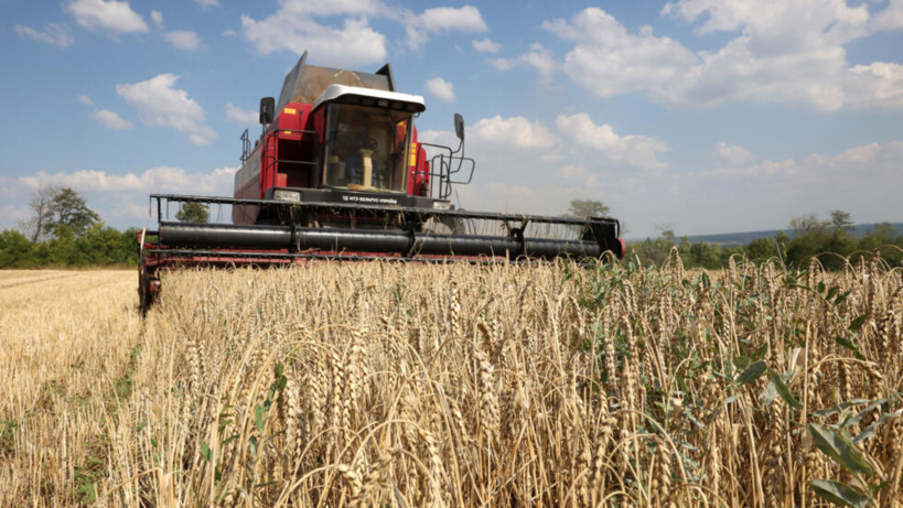 L'Union européenne divisée sur les restrictions agricoles à imposer à l'Ukraine L'Union européenne divisée sur les restrictions agricoles à imposer à l'Ukraine
