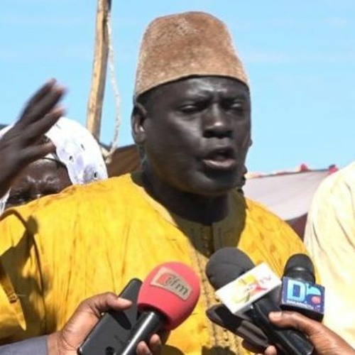"Nous attendons de Bassirou Diomaye Faye qu'il annule toutes les licences de pêche octroyées aux bateaux de l'UE", (Moustapha Dieng)