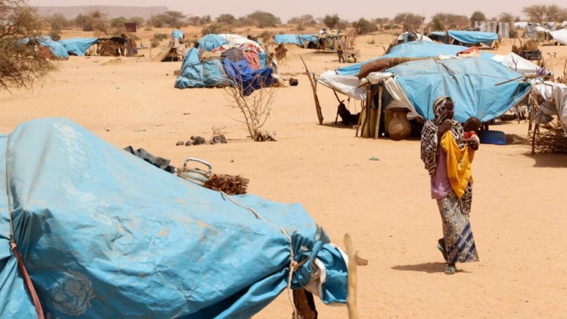Niger: afflux de réfugiés venus du Nigeria, arrivés dans la région frontalière de Maradi Niger: afflux de réfugiés venus du Nigeria, arrivés dans la région frontalière de Maradi