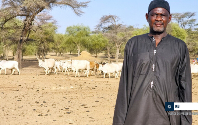 Podor : Aboubacry Diallo propose des solutions pour atteindre l’autosuffisant en moutons pour la tabaski 