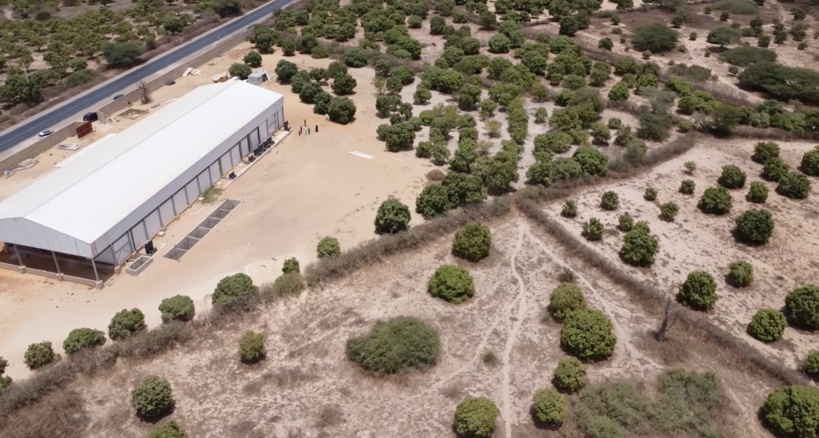 A la tête du Ministère de l’Agriculture, de la souveraineté alimentaire et de l’Elevage : Mabouba Diagne en terrain conquis A la tête du Ministère de l’Agriculture, de la souveraineté alimentaire et de l’Elevage : Mabouba Diagne en terrain conquis