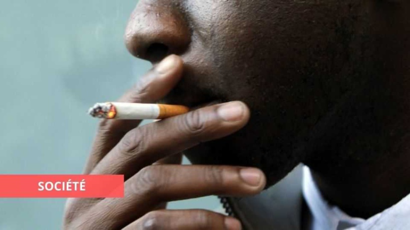 ​« Le tabac tue plus de 8 millions de personnes chaque année dans le monde », Docteur Abdoulaye Aziz Kassé