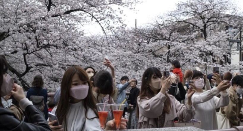 En recrudescence au Japon, faut-il vraiment s'inquiéter de la bactérie "mangeuse de chair" ? En recrudescence au Japon, faut-il vraiment s'inquiéter de la bactérie "mangeuse de chair" ?