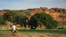 Champs de culture au Mali. Getty Images/Santiago Urquijo