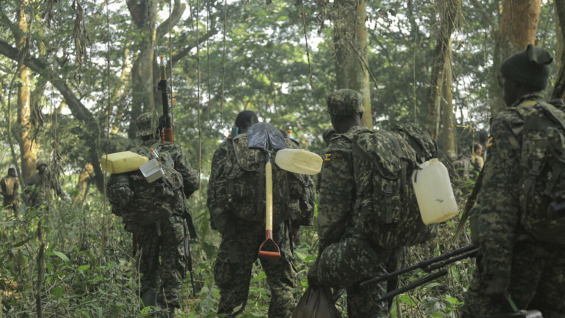 RDC: les bataillons «Jungle», des spécialistes du combat en forêt équatoriale formés par la France RDC: les bataillons «Jungle», des spécialistes du combat en forêt équatoriale formés par la France