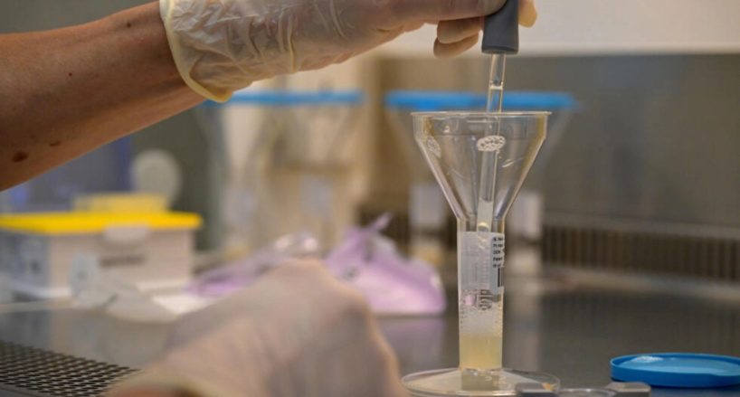 Pas de hausse globale du risque de cancer pour les enfants nés sous PMA, selon une vaste étude Pas de hausse globale du risque de cancer pour les enfants nés sous PMA, selon une vaste étude