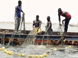 Publication des licences de pêche, réglementation… : « Il n’y a pas de surveillance dans les côtes sénégalaises » (Ibrahima Mar)