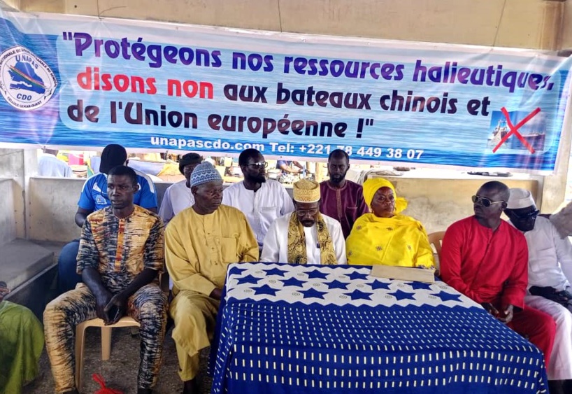 Pêche artisanale : l’Unapas entre le marteau et l'enclume des navires européens et chinois Pêche artisanale : l’Unapas entre le marteau et l'enclume des navires européens et chinois