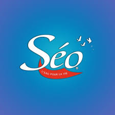 Appel par erreur de la marque "Séo" sur internet: le maire de Keur Massar nord, une journaliste devant la barre