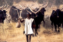 Tambacounda : Un jeune berger de 10 ans porté disparu dans le parc de Niokolo Koba Tambacounda : Un jeune berger de 10 ans porté disparu dans le parc de Niokolo Koba